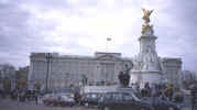 Buckingham2.jpg (22305 bytes)