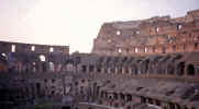 Colisseum13.jpg (25331 bytes)