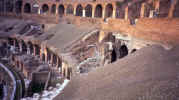 Colisseum15.jpg (37983 bytes)