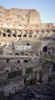 Colisseum21.jpg (23491 bytes)